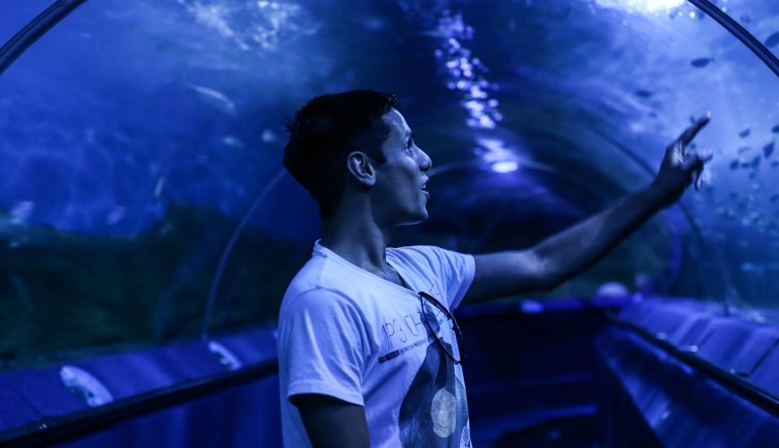 Visitors exploring colorful fish exhibits at the Grand Aquamarine aquarium during a tour featuring a live shark show with a diver.