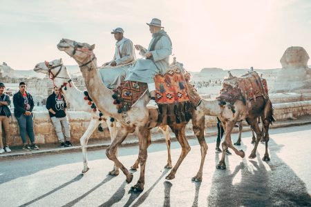 دليل إلى أروع الأماكن السياحية التي تستحق الزيارة في مصر